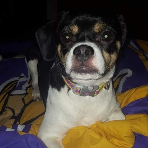 Meet your Posher, Heather - Picture 4 of 11